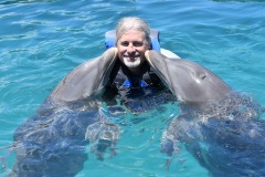 Dolphins